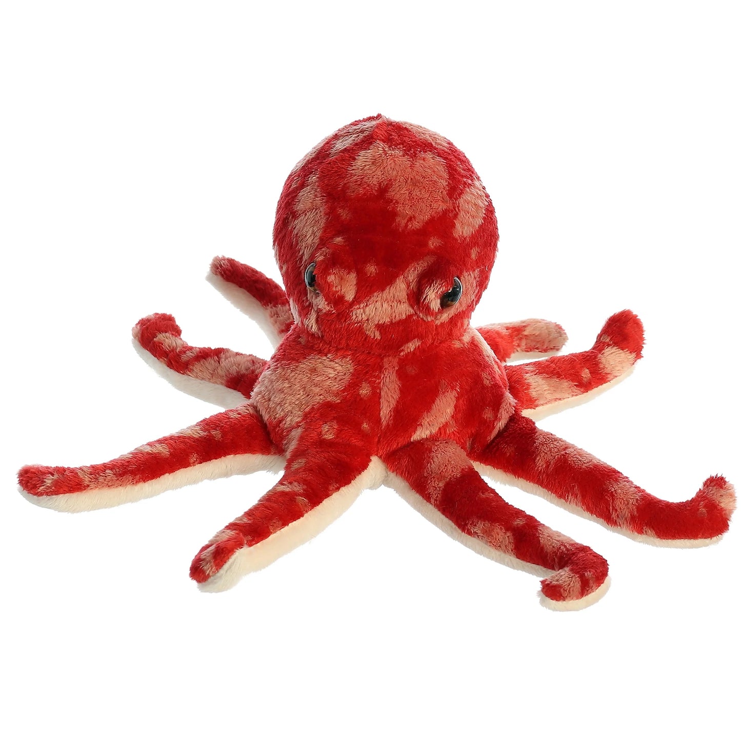 PULPO ROJO