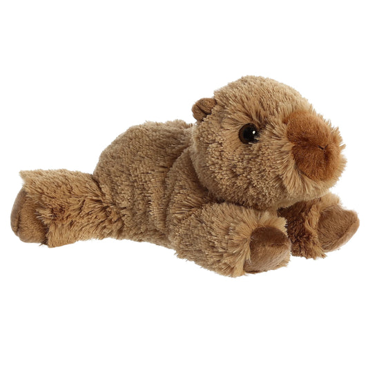 CAPIBARA