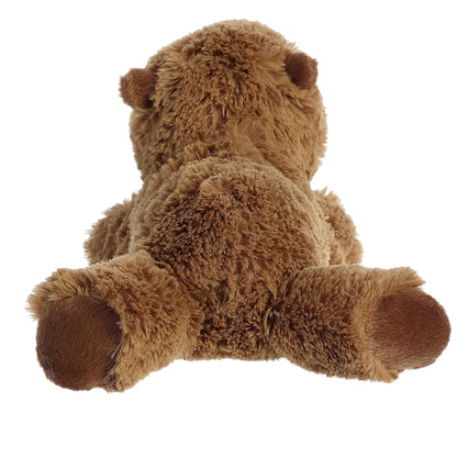CAPIBARA