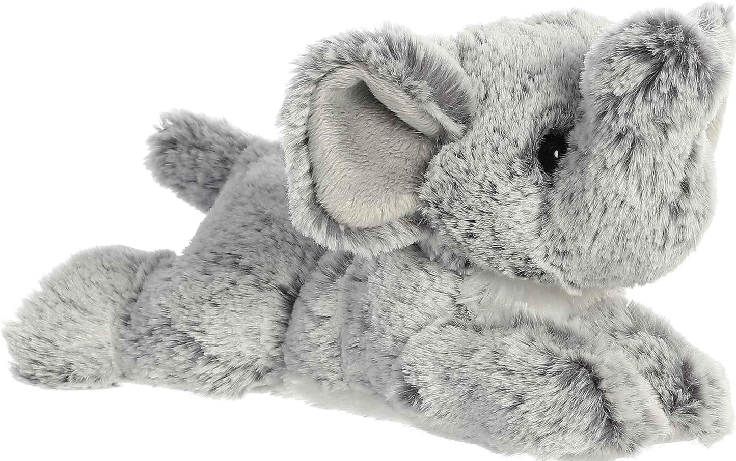 BABY ELEFANTE