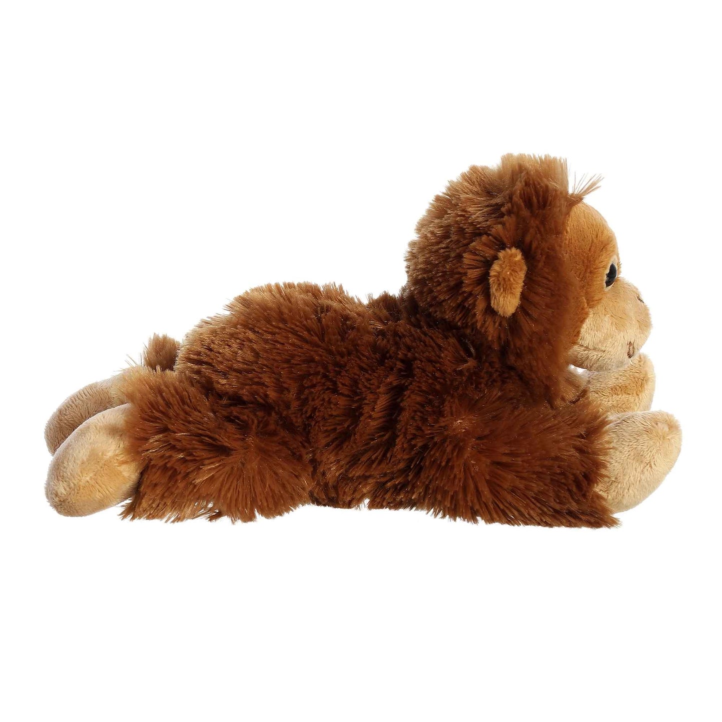 ORANGUTAN
