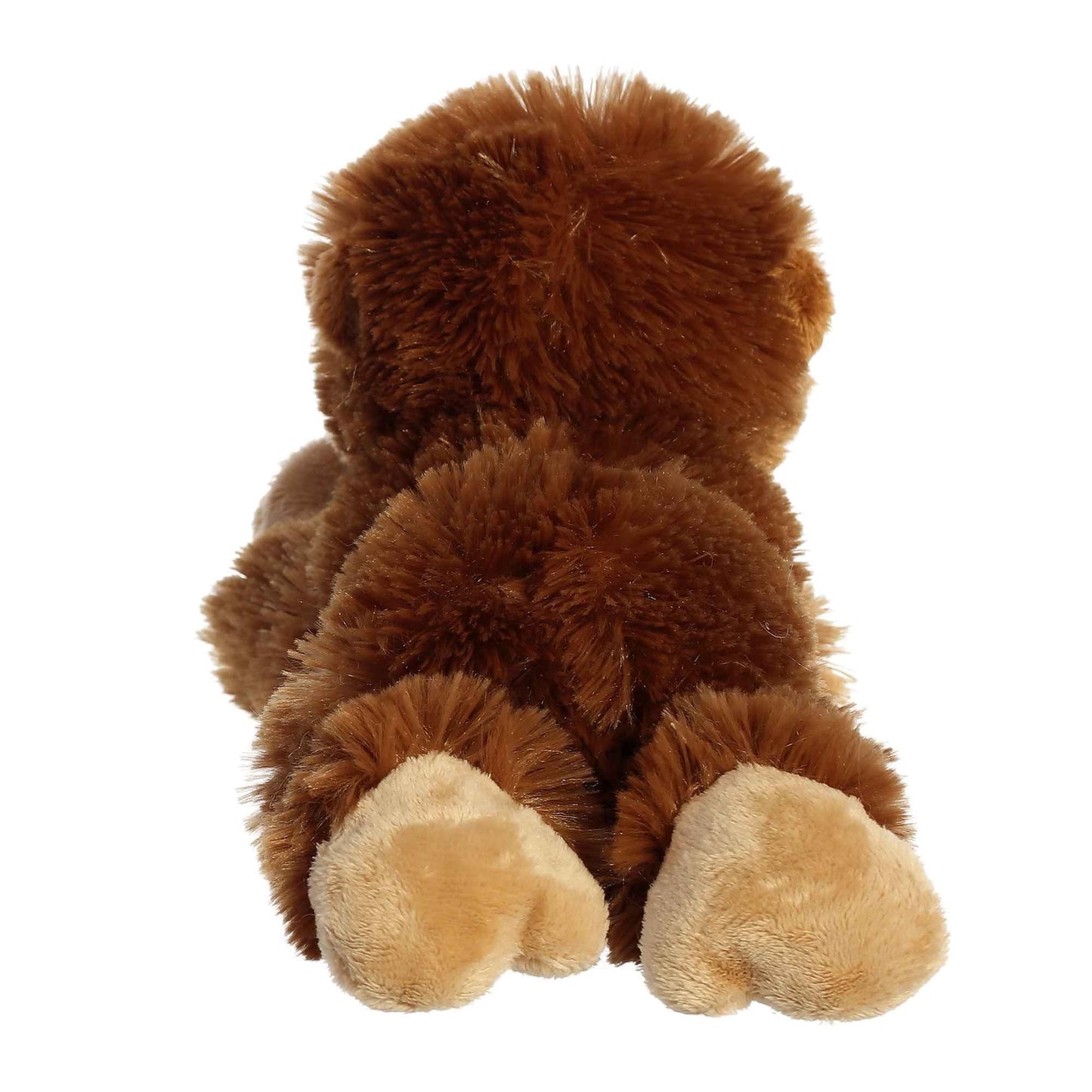 ORANGUTAN