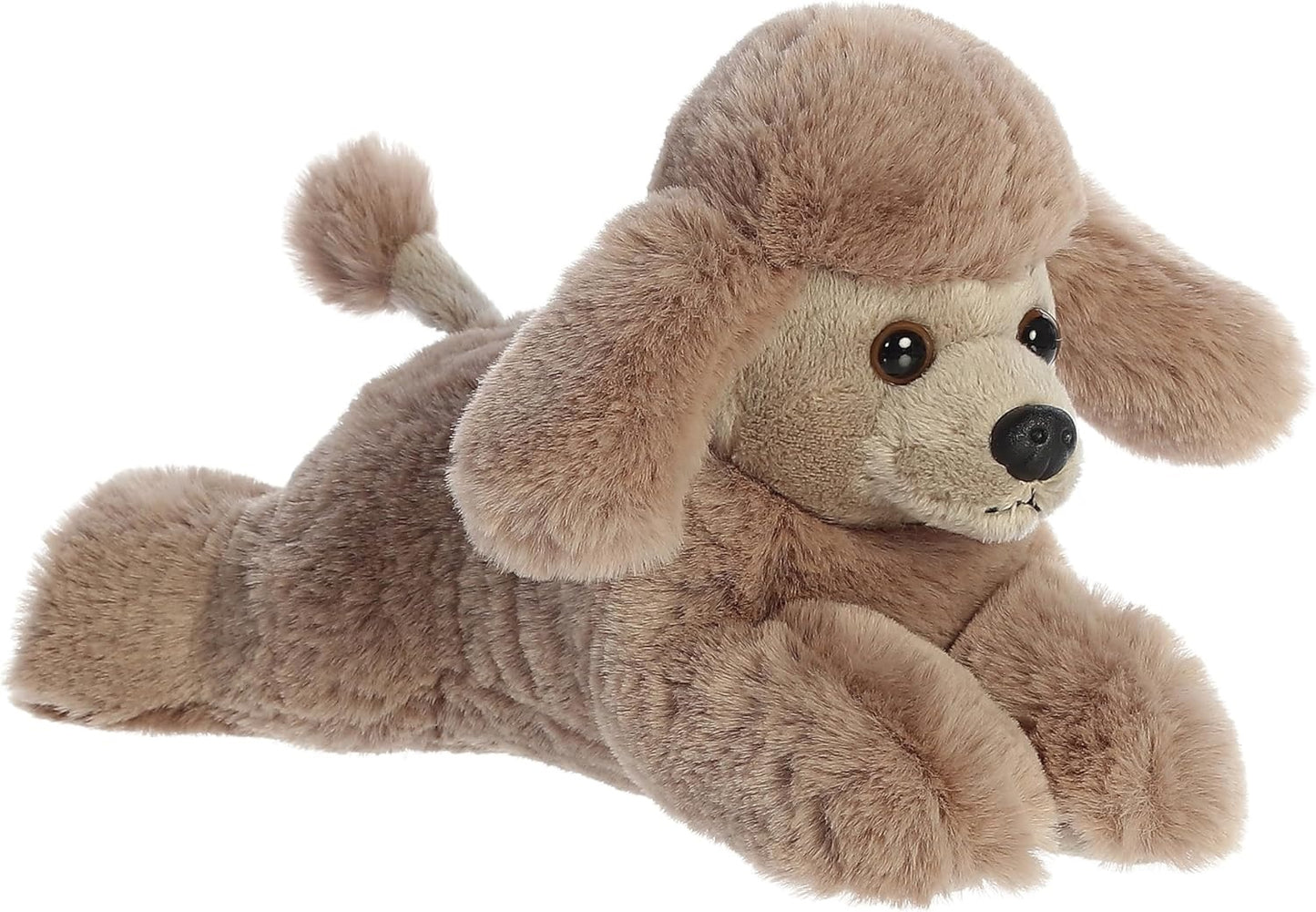 PERRO POODLE