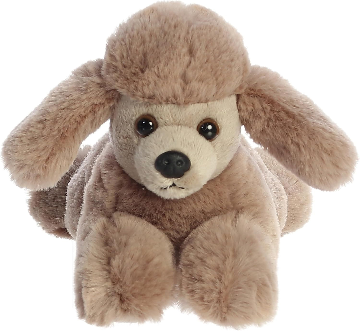 PERRO POODLE