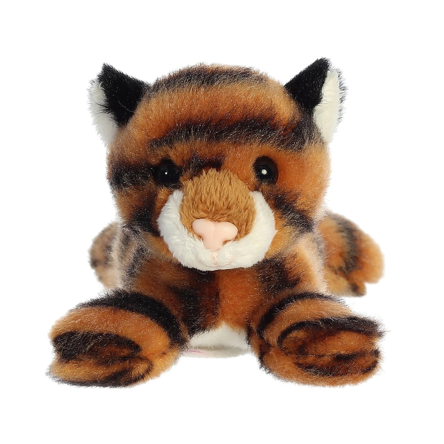 TIGRE IMAN HOMBRO