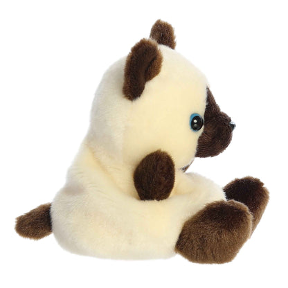 GATO SIAMES PALM