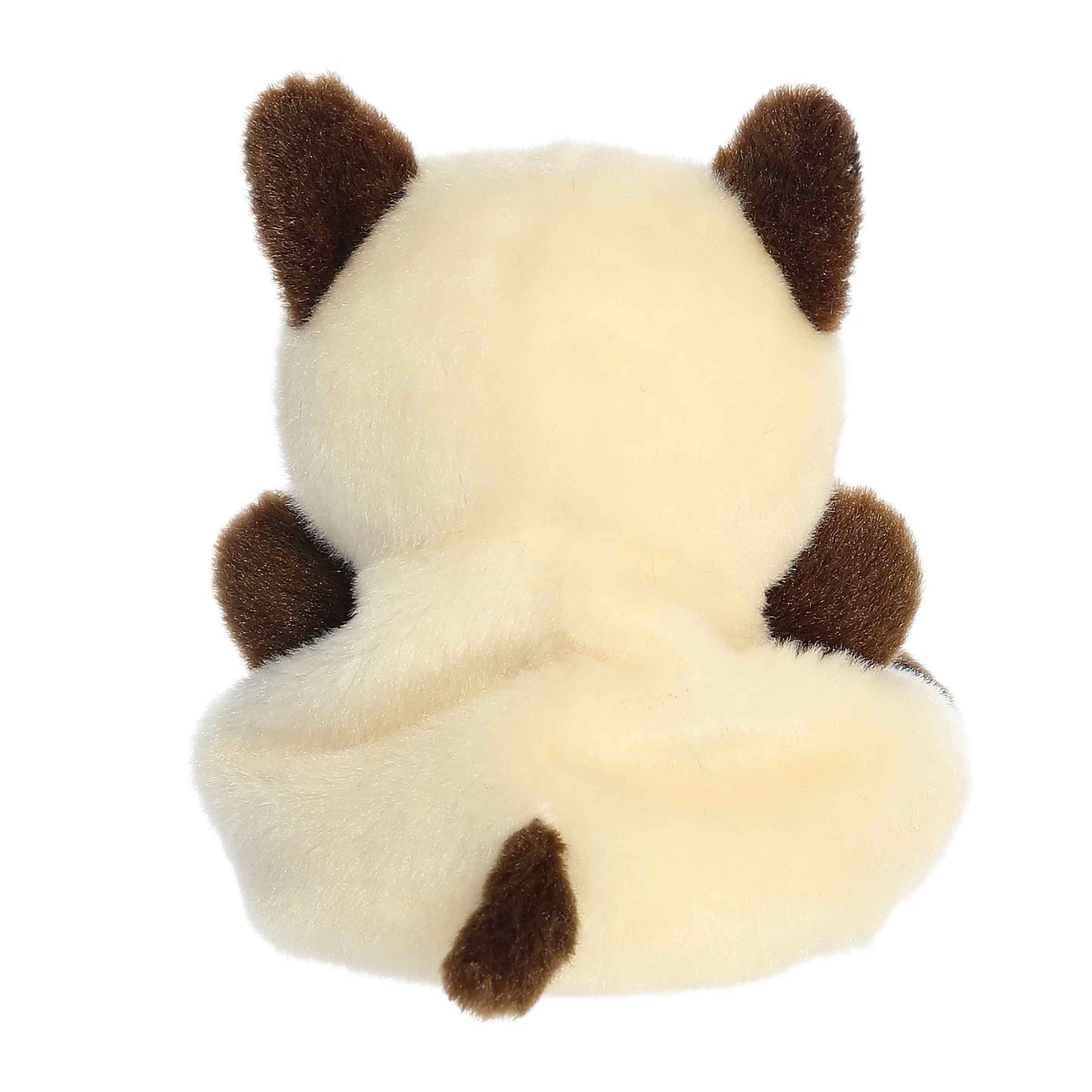 GATO SIAMES PALM