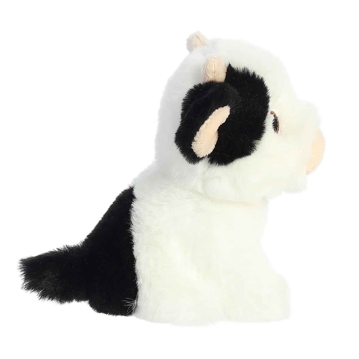 BABY VACA